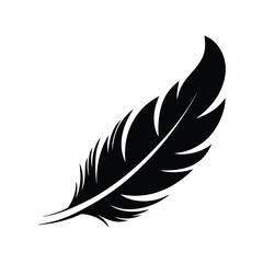 Fototapeta premium Detailed single black feather rests gracefully against a solid white background cleanly