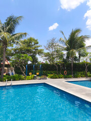 Tropical outdoor swimming pool surrounded by lush palm trees under bright sunny sky, creating a relaxing vacation atmosphere.