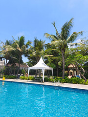 Tropical outdoor swimming pool surrounded by lush palm trees under bright sunny sky, creating a relaxing vacation atmosphere.