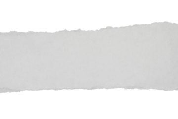 Minimal torn paper strip isolated on white background