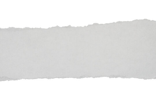 Minimal torn paper strip isolated on white background
