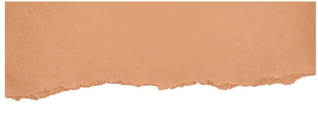 Torn cardboard strip with rough edge isolated