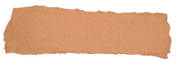 Isolated short kraft paper piece with ripped edge