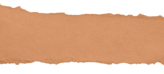 Large kraft paper strip with rough torn edge