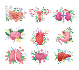 Human organs with flowers set vector illustration. Cartoon isolated anatomy collection with floral decoration, blossoms and healthy stomach heart kidney liver womb bladder lungs guts gall brain