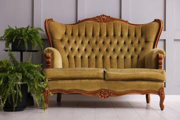 Stylish sofa and houseplants near gray wall in room