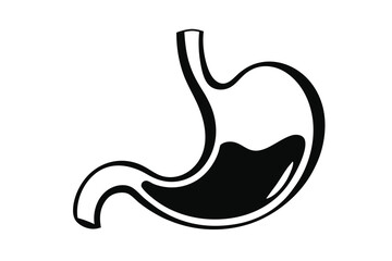 Isolated stomach anatomy displays liquid and gastric pits showcasing internal organ health, well being