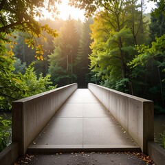 Concrete bridge leading into a sunlit forest