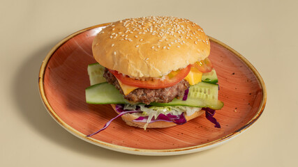 Burger on plate isolated