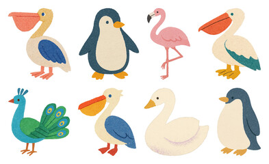 PNG Colorful cartoon bird illustrations, element set on transparent background