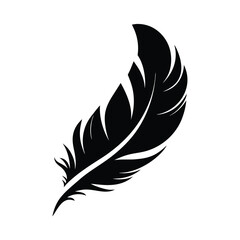 Single black feather shows detailed structure against a white background revealing lightness and design