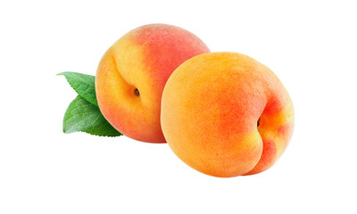 Three fresh ripe apricots with juicy yellow and orange flesh are isolated on a white background
