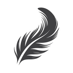 Obraz premium Solitary detailed gray feather gracefully curves rightward on a clean white backdrop naturally and uniquely