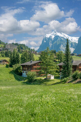 Grindelwald with Mt.Wetterhorn in Background,Bern Canton,Bernese Oberland,Switzerland