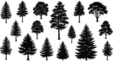 Fototapeta premium Collection of various black silhouette trees and coniferous forest elements