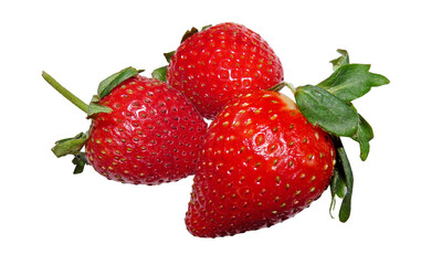 Fresh strawberries, ripe and juicy, are isolated on a crisp white background
