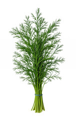 Obraz premium dill isolated 