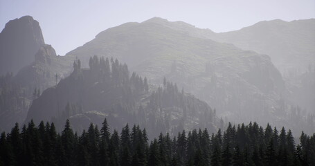 Early morning fog envelops the rugged mountain peaks, while dark green evergreens blanket the lower slopes, creating a tranquil and serene atmosphere in nature.