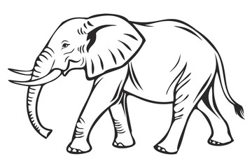 elephant vector illustration