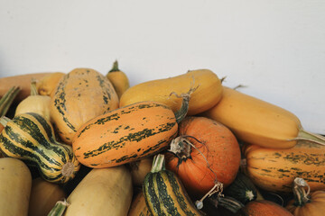 Rustic pile of pumpkins and squashes against a neutral background. Perfect minimalist composition for seasonal food themes, autumn harvest promotions, and eco-friendly living concepts. 