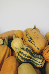  Organic pumpkins and striped gourds with copy space on white background.Perfect autumn harvest composition, highlighting farm-to-table, sustainability, and providing place for text.High quality photo