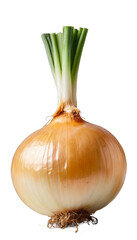onion isolated on white