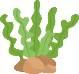 Digital art: Green seaweed with wavy leaves grows from brown rocks, isolated on white, cartoon style, bright lighting, cheerful mood, no shadows.
