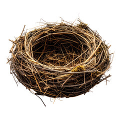 Obraz premium Empty bird's nest, twigs, nature, organic, natural