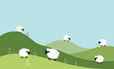 sheep on the meadow
