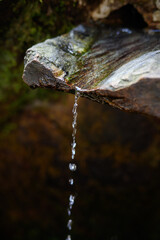 Clean spring water flows down from rock in thin stream, close-up. Concept of clean mountain drinking spring water, natural water source. Vertical