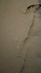 footprints in the sand