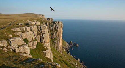 an eagle perched proudly on a rocky cliff edge with vast landscape behind