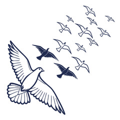 A large dove leads a flock of smaller birds flying in formation against a white background
