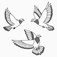 Three stylized doves in flight with wings spread and tails fanned out against a white background