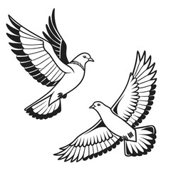 Two elegant white doves with outstretched wings in flight against a clean white background symbolizing peace and freedom