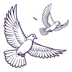 Two outline doves flying gracefully in the sky with a small feather floating