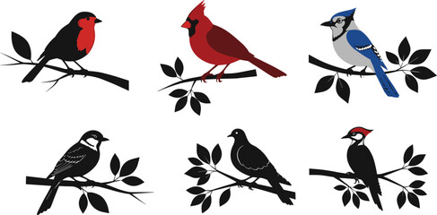 Colorful bird vector set perched on branches, minimal nature illustrations for wildlife design, seasonal decor, species identification, and artistic inspiration