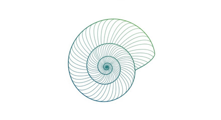 Obraz premium Spiral shell nautilus vector illustration graphic design nature sea ocean swirl pattern line art mollusk concept