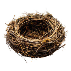 Empty bird's nest of twigs and dried grass