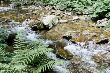 Waterfall in the forest, mountains, lots of stones and green forest