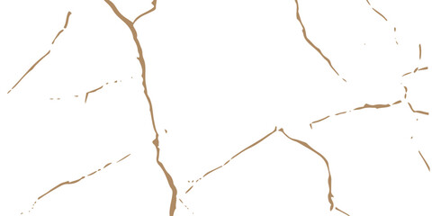 White marble with gold veins texture.