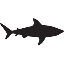 Shark silhouette on a white background. Side view. Vector illustration.