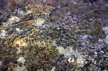 Macro closeup of mountain rock surface for natural background