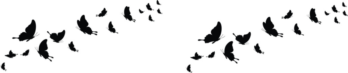 Silhouette of flying butterflies in artistic pattern, decorative nature tattoo design, black butterfly swarm isolated on white background for vector illustration