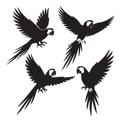 Tropical Bird Silhouette Set