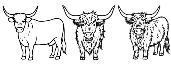 Highland cow vector