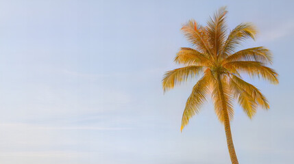 Tropical palm tree silhouette and exotic beach coconut tree against sky and textured background creating a relaxing summer vacation atmosphere