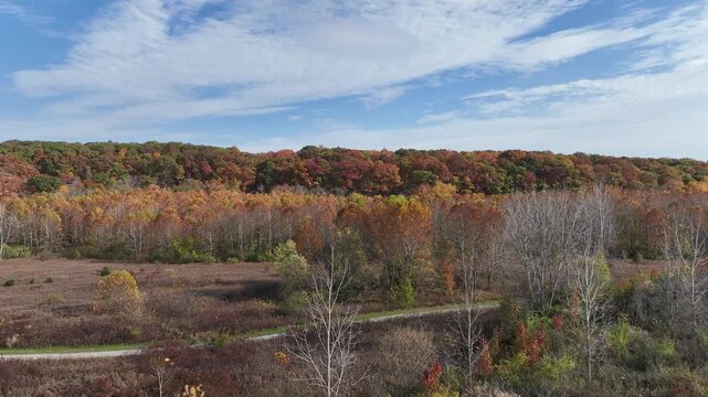 fall foliage drone perspective in the woods
