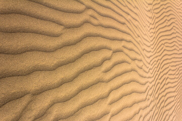 Golden sand dunes with natural wave patterns in Yazd desert, Iran, showcasing stunning textures shaped by wind, perfect for backgrounds and nature themes.