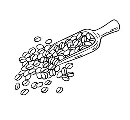 Coffee beans and scoop
